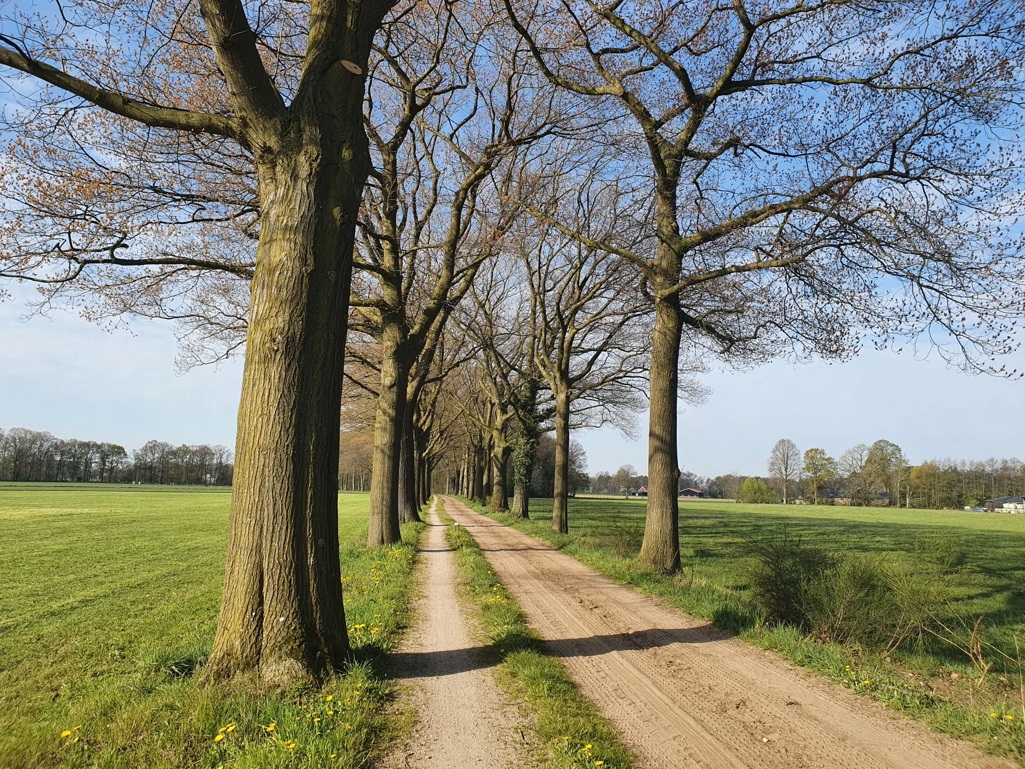Fietstocht door de Achterhoek